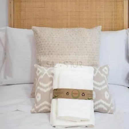 公寓 Juan Escalante By Silastur *